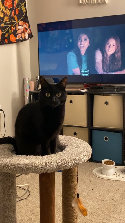 Lucy Image