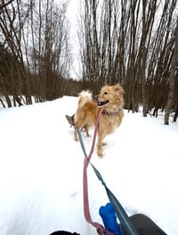 Marley* - Photo 3