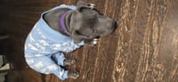 Macy - Photo 3