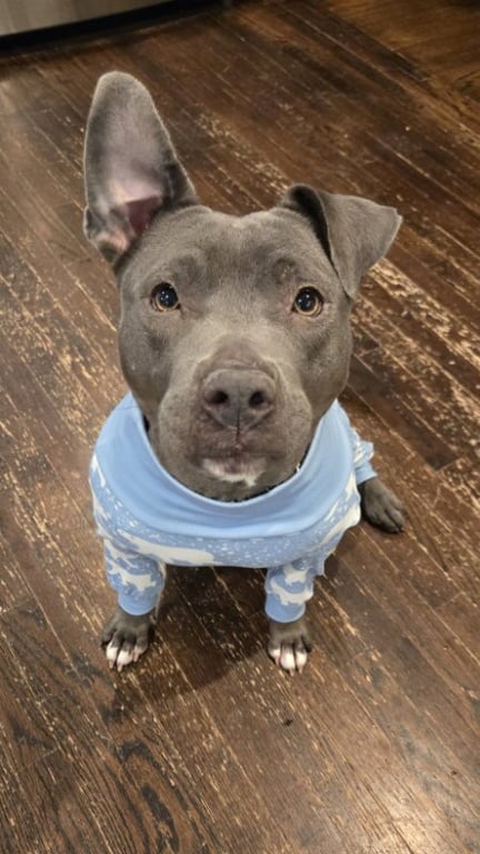 Macy Image