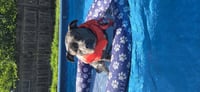 Macy - Photo 5