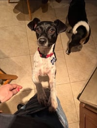 Sasha - Photo 1