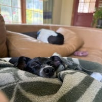 Sasha - Photo 5