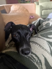 Sasha - Photo 6
