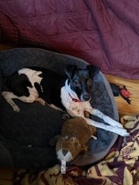 Sasha - Photo 7
