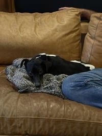 Sasha - Photo 8