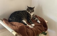 Jonesy - Photo 4