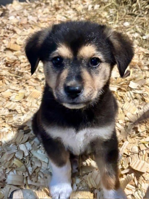 Justin Beagle - Photo 3