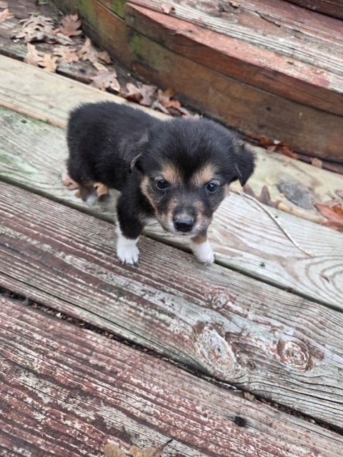 Justin Beagle - Photo 4