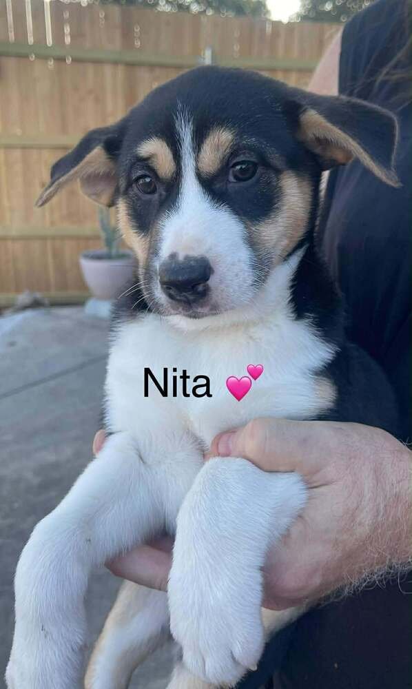 Nita - Photo 3