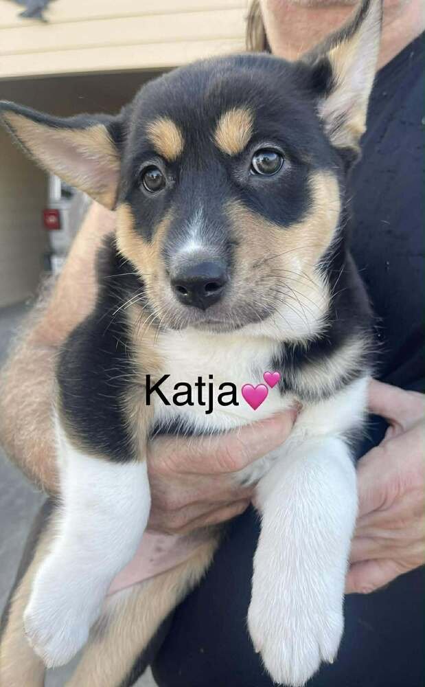 Katja - Photo 3