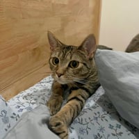 Itsy - Photo 4