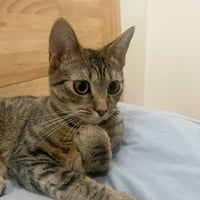 Itsy - Photo 3