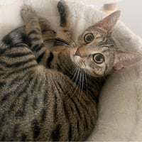 Itsy - Photo 2