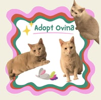 Ovina - Photo 1