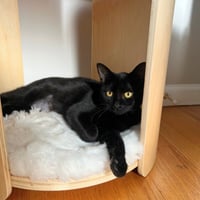 Elodie - Photo 4
