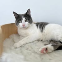 Lucy - Photo 4