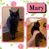Mary - Photo 2