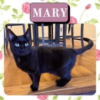 Mary - Photo 1