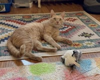 Jacklyn - Photo 4