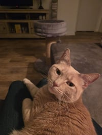 Jacklyn - Photo 6