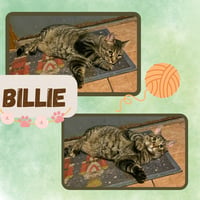 Billie - Photo 1