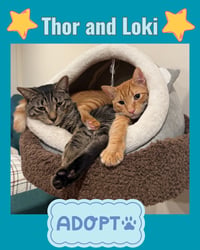 Thor and Loki - Photo 1