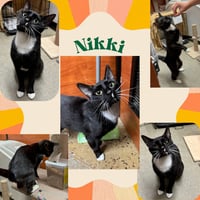 Nikki - Photo 3