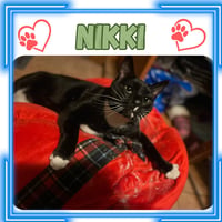Nikki - Photo 2
