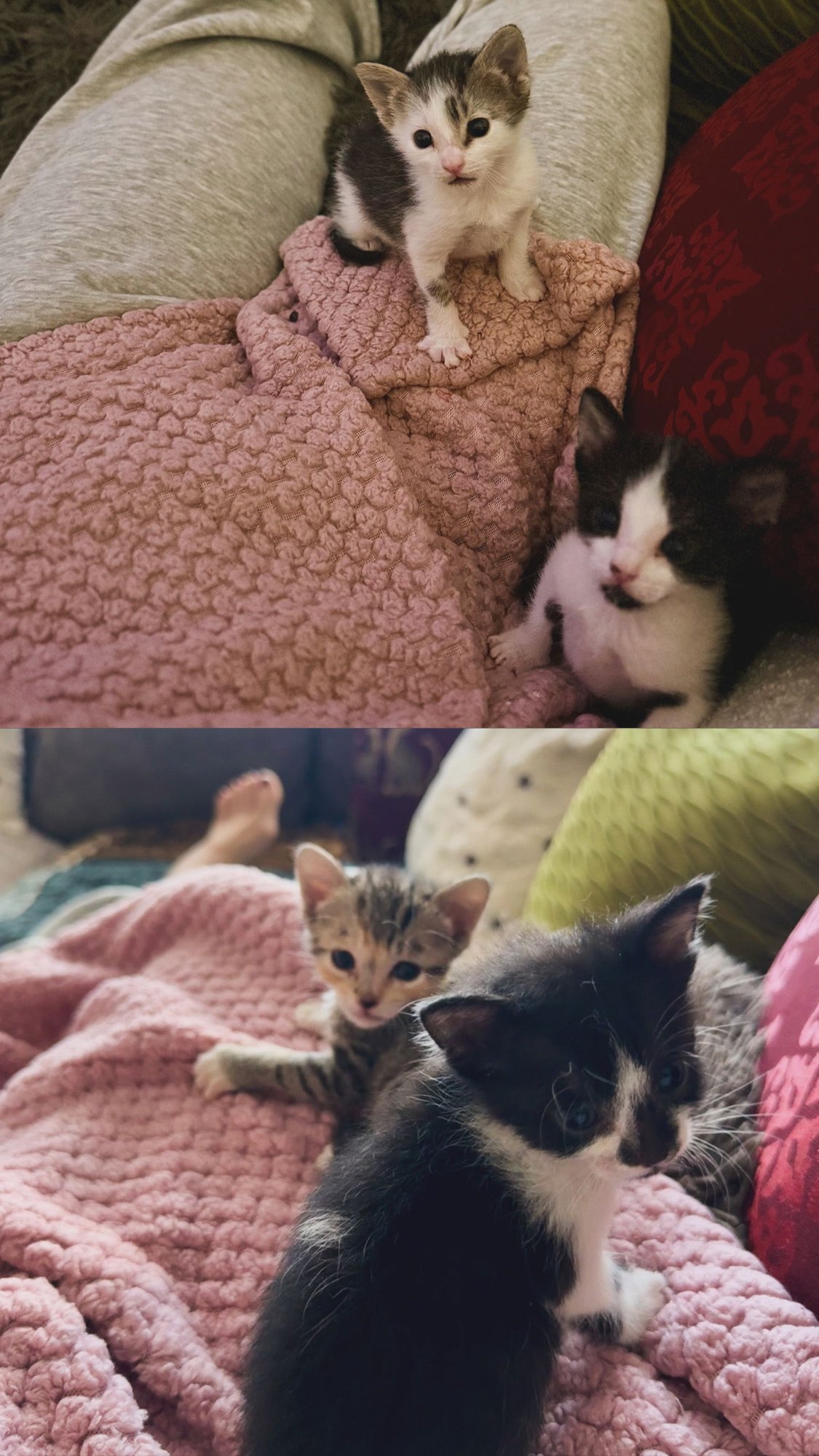 Jupiter, Neptune, Mars, Venus - Photo 4