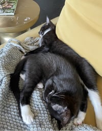 Daisy, and Damian - Photo 8