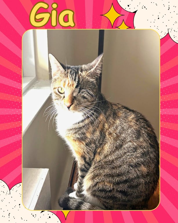 Gia - one eyed beauty Image