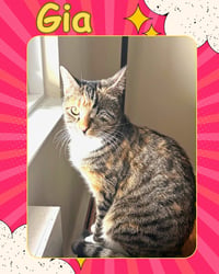 Gia - one eyed beauty - Photo 1