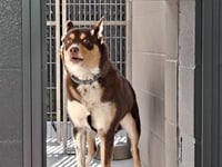 PENNY - Photo 1