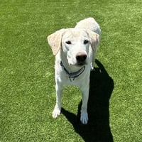 Max 8 - Photo 2