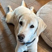 Max 8 - Photo 1