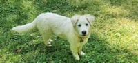 Daphne - Photo 2