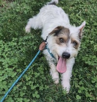 Maximilian (Max) - Photo 3
