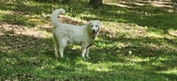 Velma - Photo 2