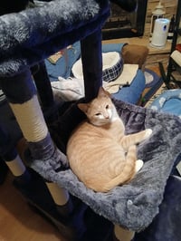Jack - Photo 2