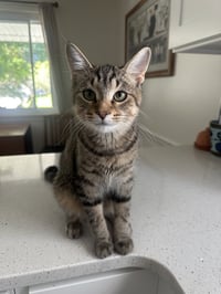BUDDY - Photo 2