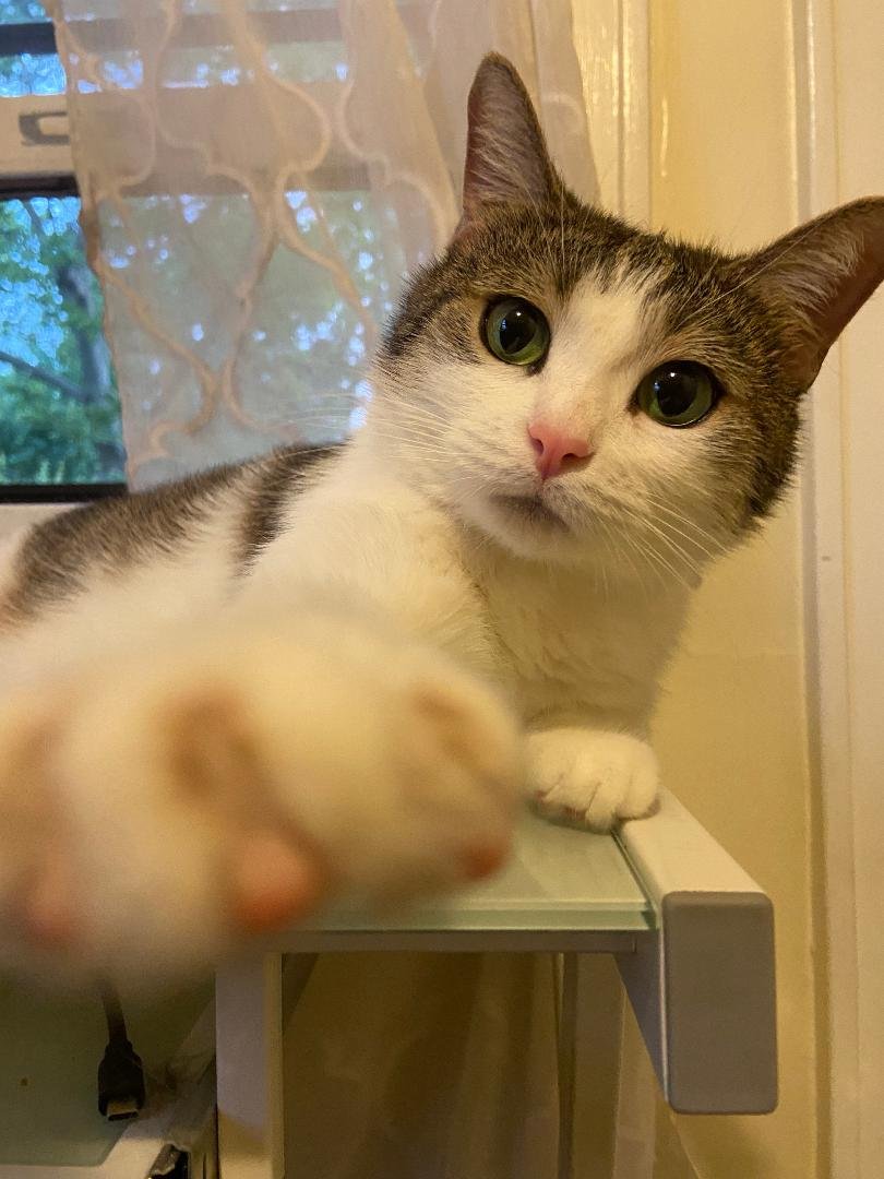 LITTLE ONE - Photo 3