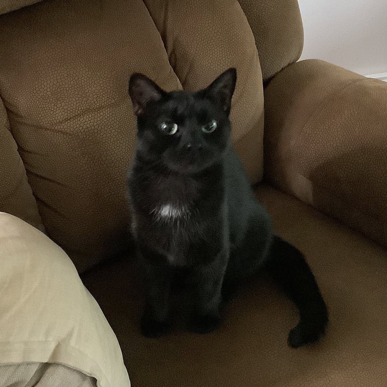 MAMA Image