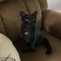 MAMA - Photo 1