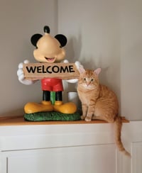 Baxter - Photo 4