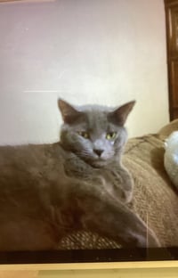 BENNIE - Photo 2