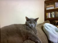 BENNIE - Photo 5