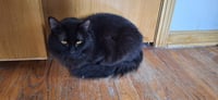 SNICKERS - Photo 3