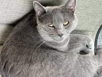 CLEO - Photo 4
