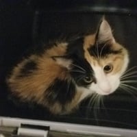 PRECIOUS - Photo 1